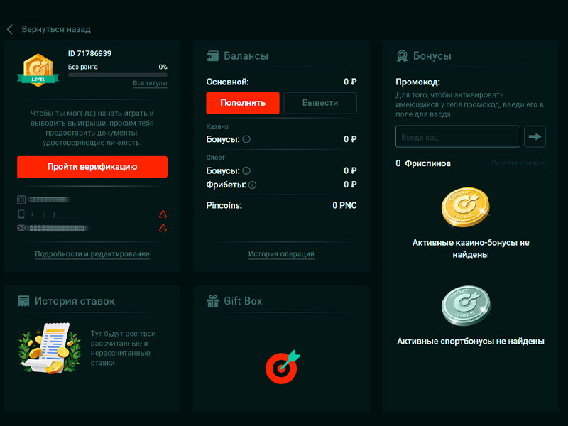 Вход в личный кабинет онлайн казино Пинко Вход в личный кабинет онлайн казино Пинко